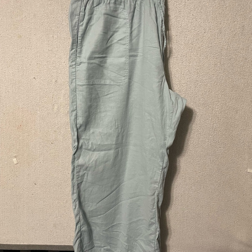 American Eagle Outfitters womens Light Blue Joggers